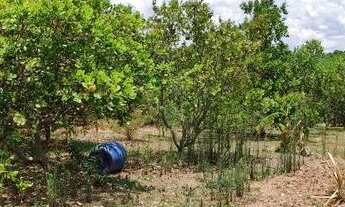 Imagem 4: Chácara em professor jamil