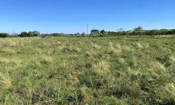 Imagem 3: Campo 62 hectares