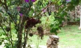 Imagem 5: Vendo casa mobiliada em Igatu Chapada Diamantina Bahia Brasil