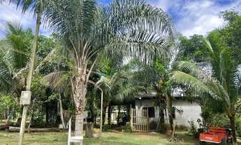 Imagem 2: CASA com poço artesiano, frutíferas e tanque de peixe