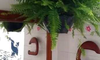 Imagem: Vagas para rapaz ou moças