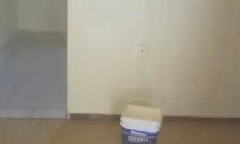 Imagem 5: Casa vila Casa com 2 dormitórios