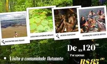 Imagem: Passeios Pela Amazônia