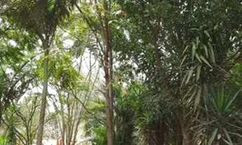 Imagem: Vende-se chácara