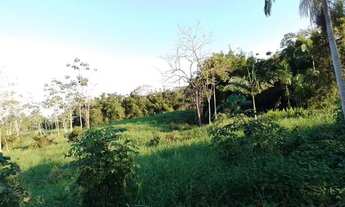 Imagem 5: Vendo excelente sítio de 10 alqueires em Iguape-SP