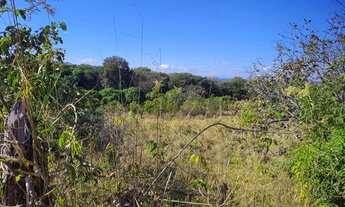 Imagem 3: Fazenda com Terra de Cultura boa e com Lagoa Concretada! Parque Sumidouro