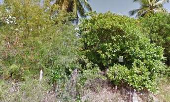 Imagem 3: IMBASSAÍ - TERRENO