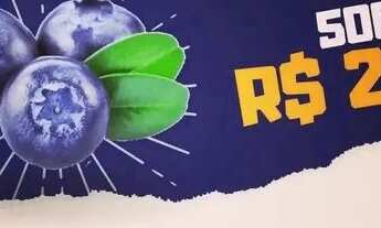 Imagem 4: Morangos, Mirtilos, Kiwi, Amora e Framboesas naturais congeladas