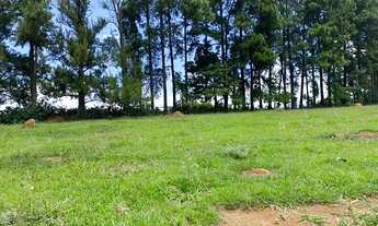 Imagem: Comece o dia comprando terreno!!