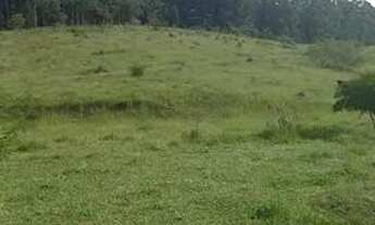 Imagem 3: 48P-1JH9I20 Terreno / lote com venda por R$250.000