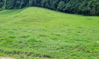 Imagem 5: Chácara com Escritura Publica