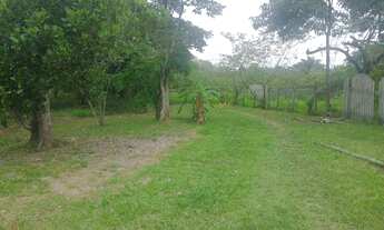 Imagem: Vendo minha colônia