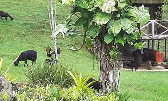 Imagem 2: Sítio à venda, 106000 m² por R$ 1.600.000,00 - Banquete - Bom Jardim/RJ