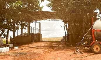 Imagem 4: Fazenda 2.900 hec em Feliz Natal MT