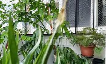 Imagem 7: Apartamento Vila Ipojuca,173 metros , 3 dormitórios, 3 suítes, 4 vagas fixas