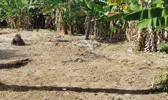 Imagem 4: Terreno município Coruripe valor 480.000.00