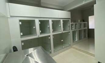 Imagem 4: Clinica Veterinária