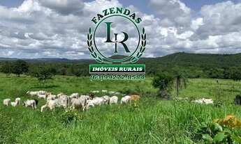 Imagem 2: Fazenda / chácara 10 Alqueires Dupla Aptidão