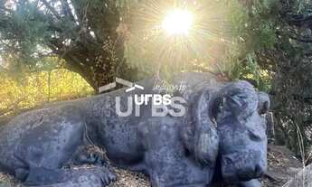 Imagem 11: Mansão no Park Way - Brasília - DF