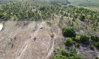 Imagem 7: Fazenda Mista em Conde -BA