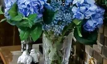 Imagem: Aluga-se Quarto no Centro do Rio