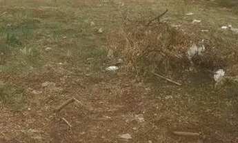 Imagem 2: Terreno à venda, 3201 m² por R$ 1.800.000,00 - Residencial Luana Park - Goiânia/GO