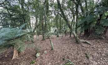 Imagem 4: TERRENO NO CONDOMÍNIO LAGOS DE GRAMADO