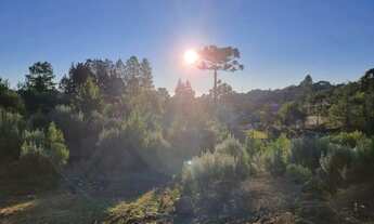 Imagem: Terreno - Bairro Santa Terezinha