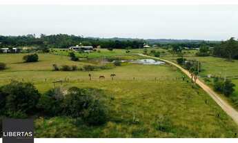 Imagem 4: Fazenda em São José