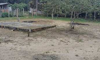 Imagem 4: Atravessa a marina do Davi.comunidade abelha