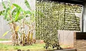 Imagem 6: Sobrado com edícula á venda no Nova Lima em Campo Grande - MS