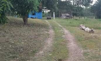 Imagem: CHÁCARA COXIPÓ DO OURO