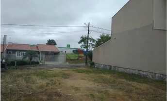 Imagem 5: Terreno Plano 273 m no Bairro Atuba Ideal para Sobrado, Próximo a Comércios