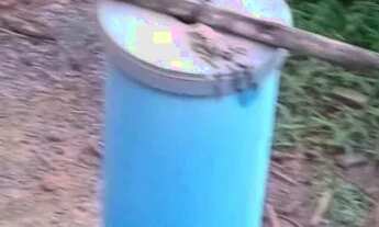 Imagem 3: SÍTIO 27,3 HECT. SADIA 2 Pego casa e veículo