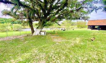 Imagem: Salomone vende Sítio de 3,5 hectares com