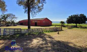 Imagem: Fazenda para alugar, 20.000m² - São Simão-SP
