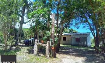 Imagem 2: Sitio com 13 mil metros com casa !