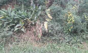 Imagem 3: Terreno à venda em Roseira - SP