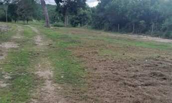 Imagem 3: CHÁCARA COXIPÓ DO OURO