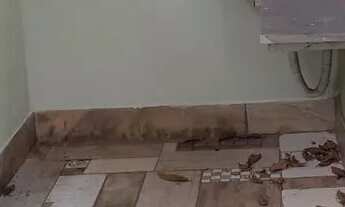 Imagem 3: Aluguel de Casa de 1/4 na pampulha Apenas 750,00