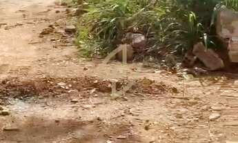 Imagem 2: Lote Hugo de Morais 315m²