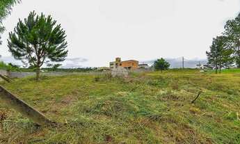 Imagem 5: Vendas Terreno Quatro Barras PR