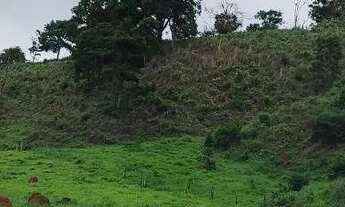 Imagem 3: Chácara em Bela vista