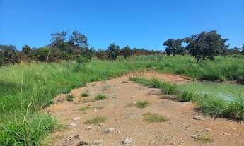 Imagem 6: Chácara de 2,9 hectares toda no cerradão bruto sem benfeitorias, toda cercada