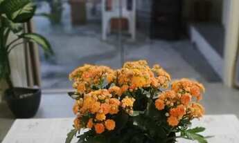 Imagem 7: Loft simples, aconchegante e bem localizado entre a lagoa de Ibiraquera e o mar