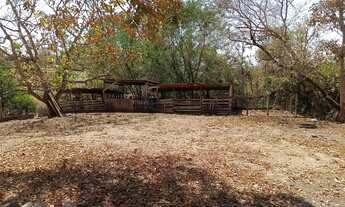 Imagem 6: VENDO!!! Uma área rural de 2,122 hectares na região do porto bandeira na cidade