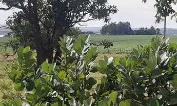 Imagem 4: Sítio 5 alqueires município de cristalina