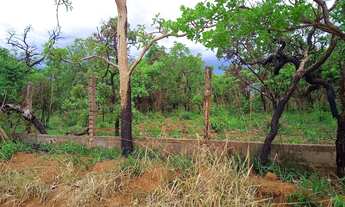Imagem 4: Chácara 3.000m² Planaltina de Goiás