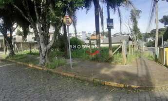 Imagem 2: Lote em Rua Coelho Neto - Petrópolis - Caxias do Sul/RS