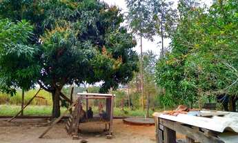 Imagem: Vendo Sítio - Fazenda Santa-Laura